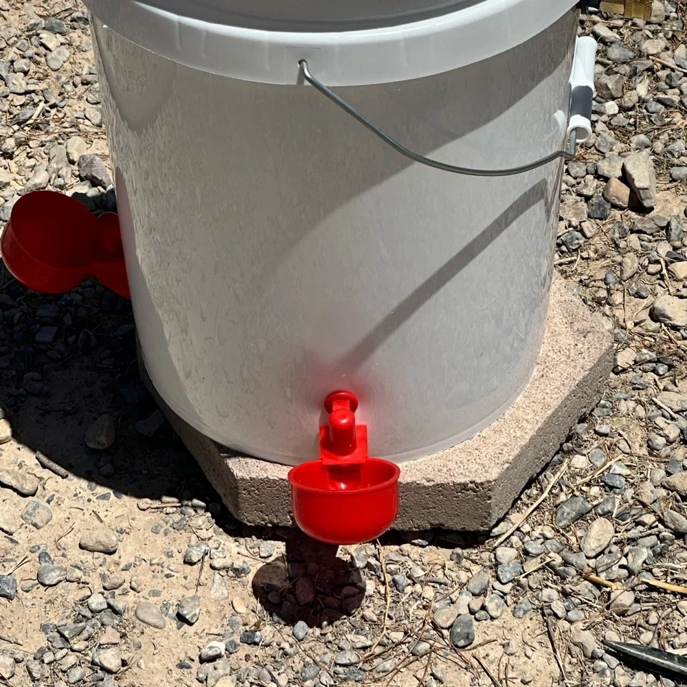 Automatic water feeder